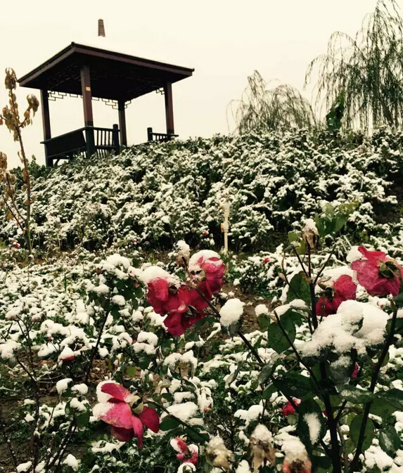 下雪天的躍迪集團(tuán)，咱也跟跟風(fēng)。。。