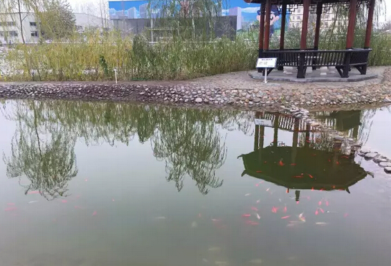 下雪天的躍迪集團(tuán)，咱也跟跟風(fēng)。。。