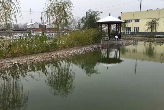 下雪天的躍迪集團(tuán)，咱也跟跟風(fēng)。。。