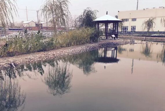 下雪天的躍迪集團(tuán)，咱也跟跟風(fēng)。。。
