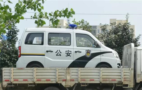 電動巡邏車價格