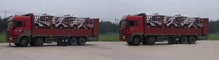 躍迪移動(dòng)城管執(zhí)法站、躍迪電動(dòng)巡邏車大批量發(fā)往首都北京——有躍迪，才安心