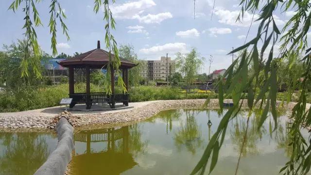 躍迪十年發(fā)展引人贊，百年躍迪輝煌令人盼